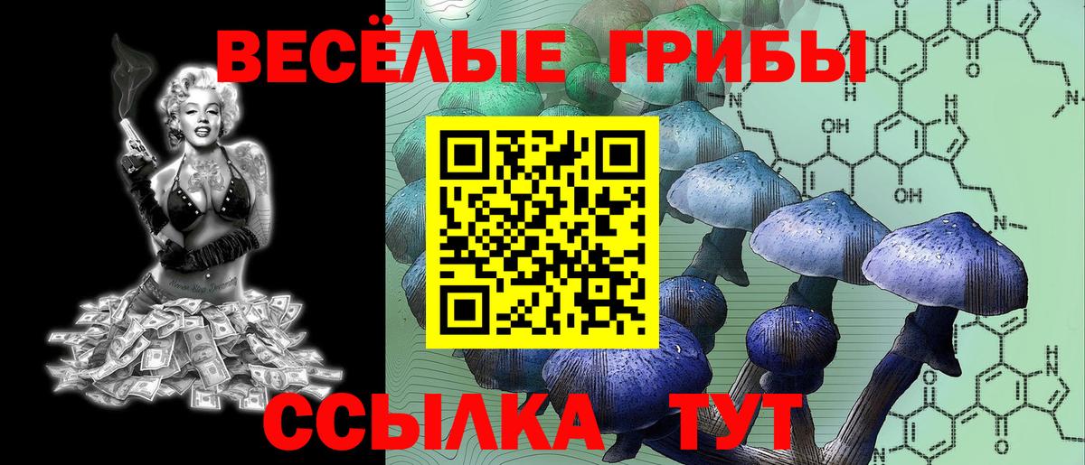 Галлюциногенные грибы Psilocybine cubensis Фурманов