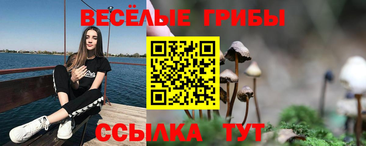 Псилоцибиновые грибы прущие грибы  где можно купить   Фурманов  Вход с VPN 