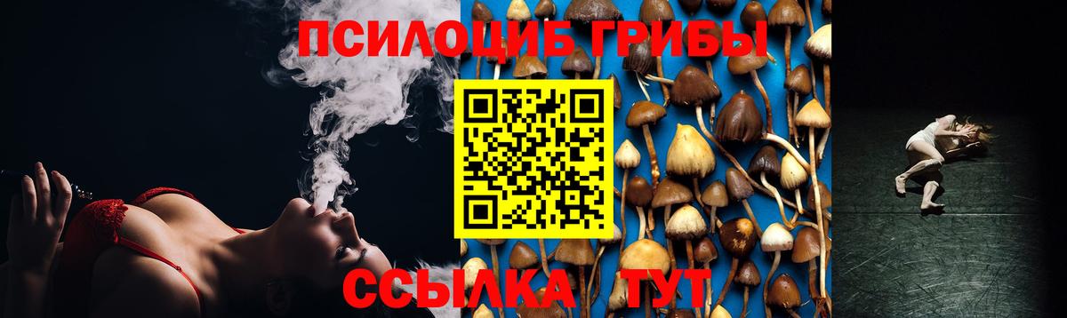 A PVP Фурманов